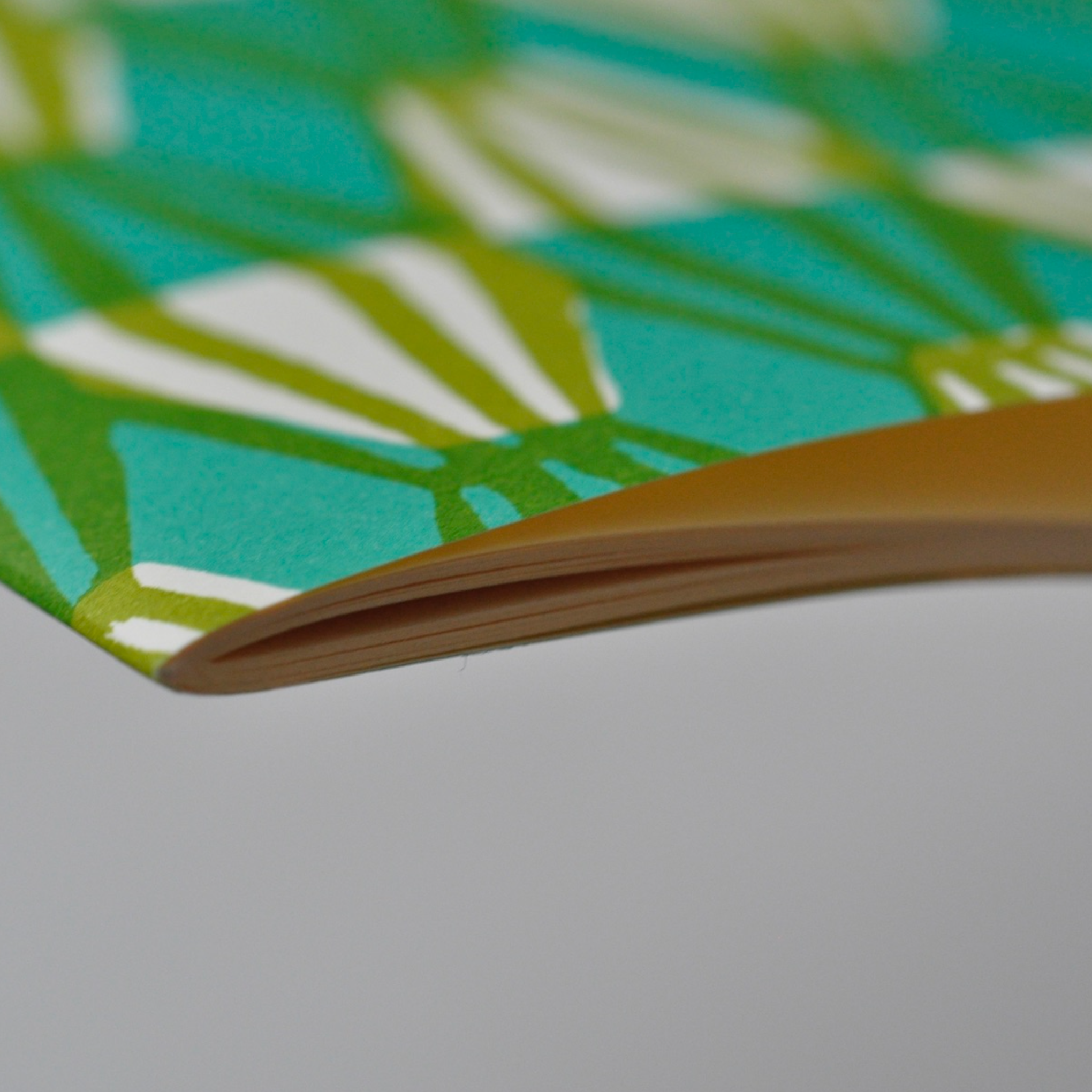 Exercise Book Threadwork Sap Green - Plain